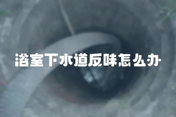浴室下水道反味怎么辦