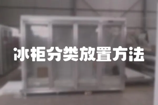 冰柜分類放置方法