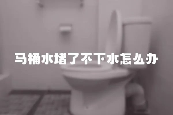 馬桶水堵了不下水怎么辦