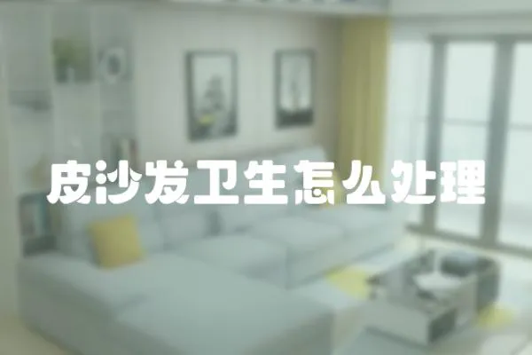 皮沙發(fā)衛(wèi)生怎么處理