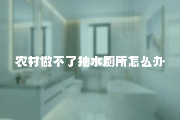 農村做不了抽水廁所怎么辦
