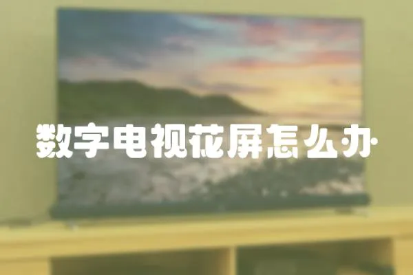 數(shù)字電視花屏怎么辦