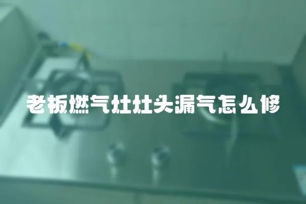 老板燃氣灶灶頭漏氣怎么修