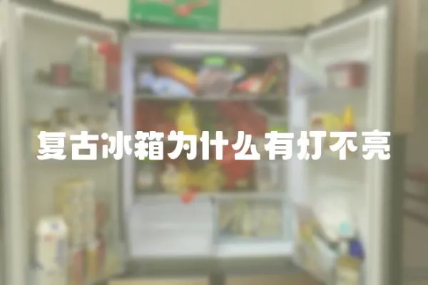 復(fù)古冰箱為什么有燈不亮