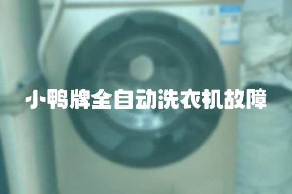 小鴨牌全自動洗衣機故障