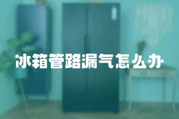 冰箱管路漏氣怎么辦