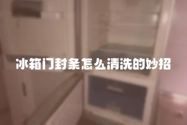 冰箱門封條怎么清洗的妙招