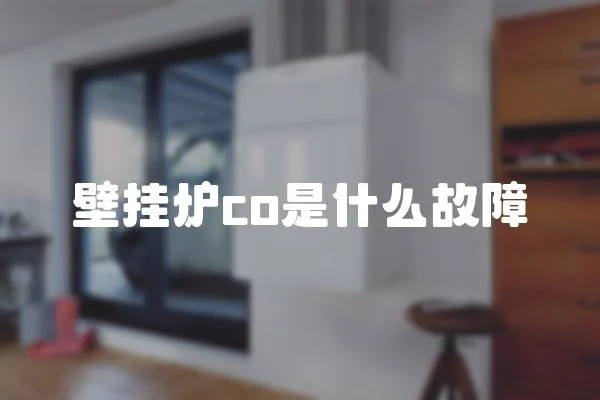 壁掛爐co是什么故障