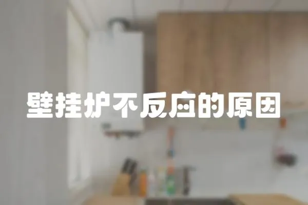 壁掛爐不反應的原因