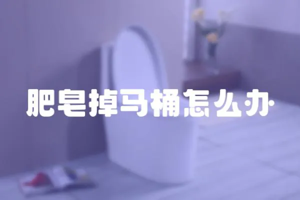 肥皂掉馬桶怎么辦
