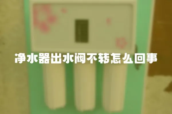 凈水器出水閥不轉怎么回事