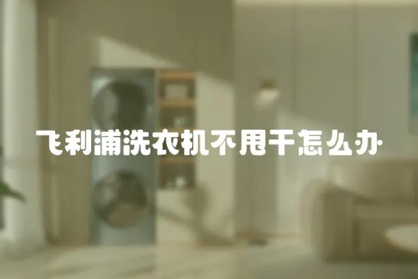 飛利浦洗衣機(jī)不甩干怎么辦
