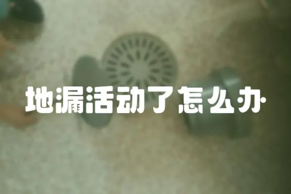 地漏活動了怎么辦