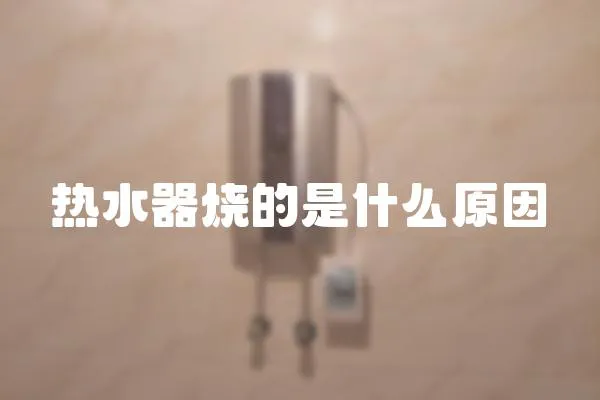 熱水器燒的是什么原因