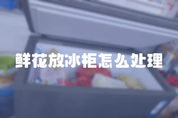 鮮花放冰柜怎么處理