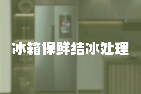 冰箱保鮮結冰處理