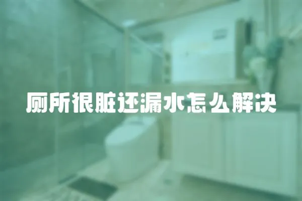 廁所很臟還漏水怎么解決