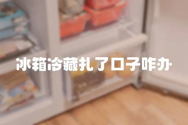 冰箱冷藏扎了口子咋辦