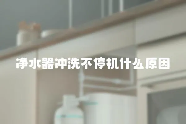 凈水器沖洗不停機什么原因