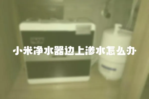 小米凈水器邊上滲水怎么辦