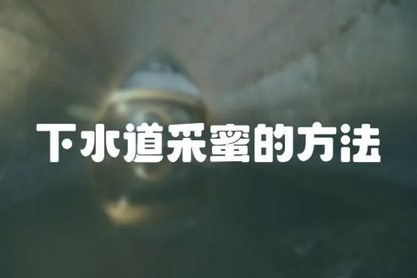 下水道采蜜的方法
