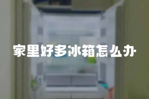 家里好多冰箱怎么辦