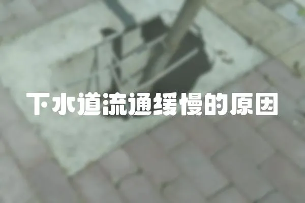 下水道流通緩慢的原因