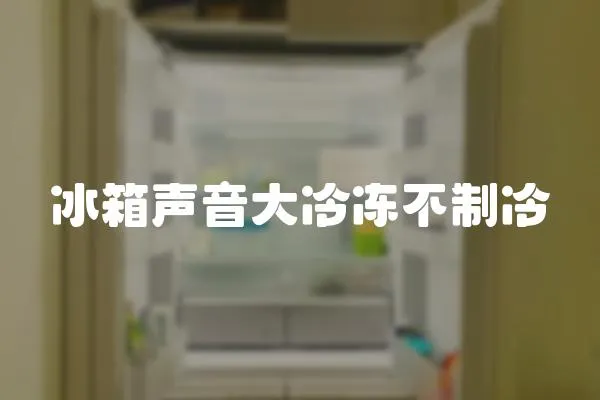 冰箱聲音大冷凍不制冷