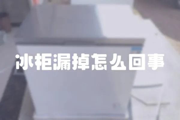 冰柜漏掉怎么回事