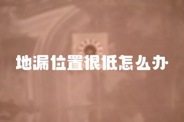 地漏位置很低怎么辦