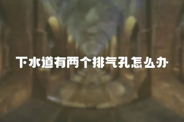 下水道有兩個排氣孔怎么辦