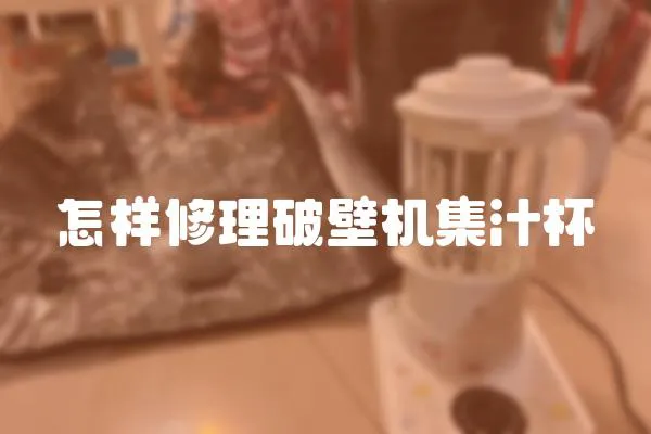 怎樣修理破壁機集汁杯