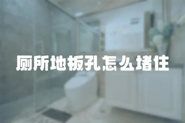 廁所地板孔怎么堵住