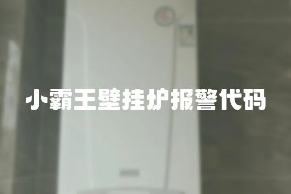 小霸王壁掛爐報警代碼