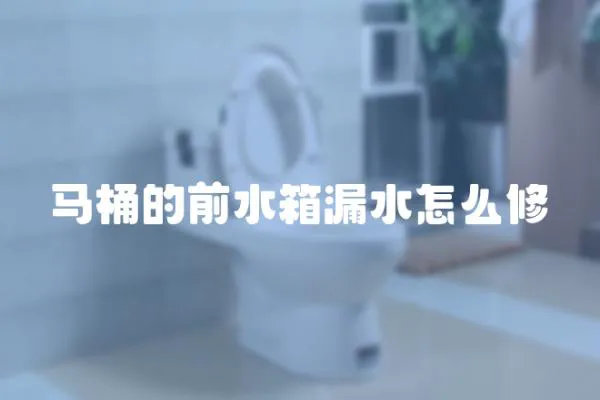 馬桶的前水箱漏水怎么修