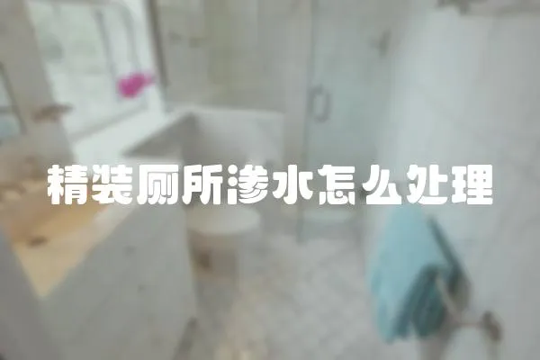 精裝廁所滲水怎么處理