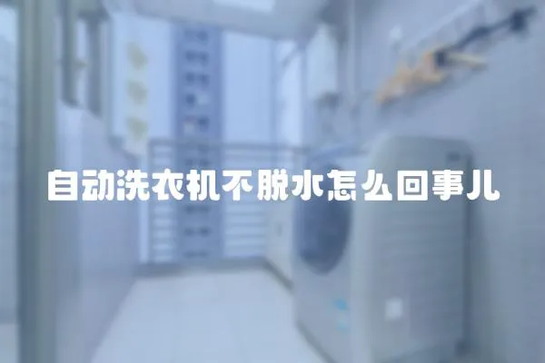 自動洗衣機不脫水怎么回事兒