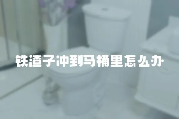 鐵渣子沖到馬桶里怎么辦
