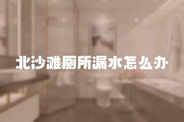 北沙灘廁所漏水怎么辦