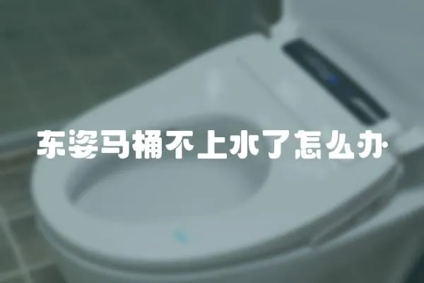 東姿馬桶不上水了怎么辦