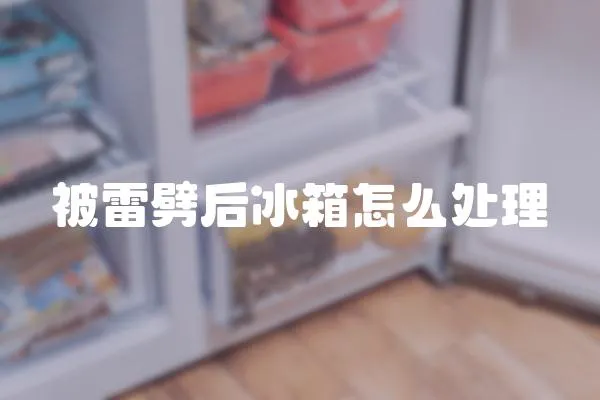 被雷劈后冰箱怎么處理
