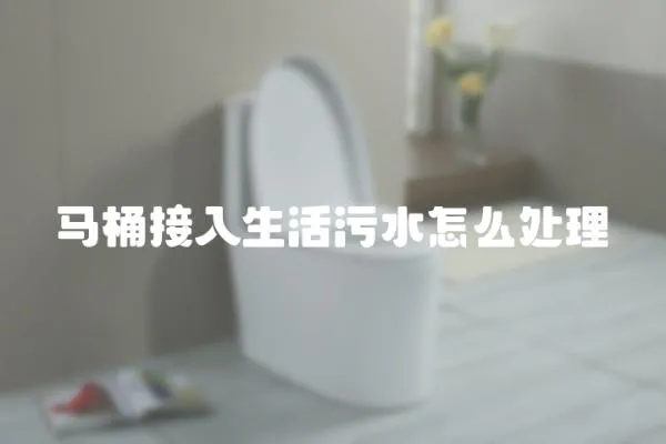 馬桶接入生活污水怎么處理