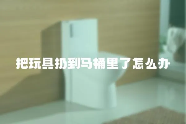 把玩具扔到馬桶里了怎么辦