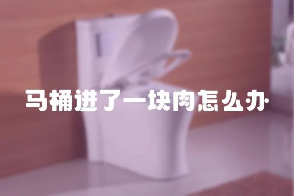 馬桶進了一塊肉怎么辦