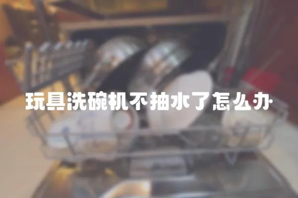 玩具洗碗機不抽水了怎么辦