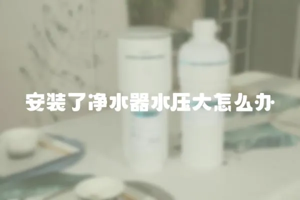 安裝了凈水器水壓大怎么辦