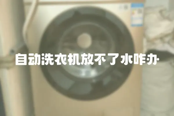 自動洗衣機放不了水咋辦