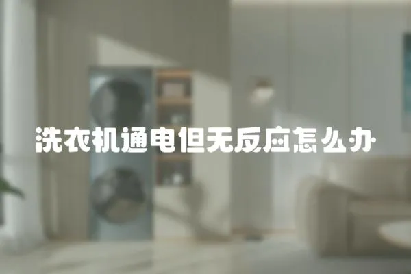 洗衣機(jī)通電但無(wú)反應(yīng)怎么辦
