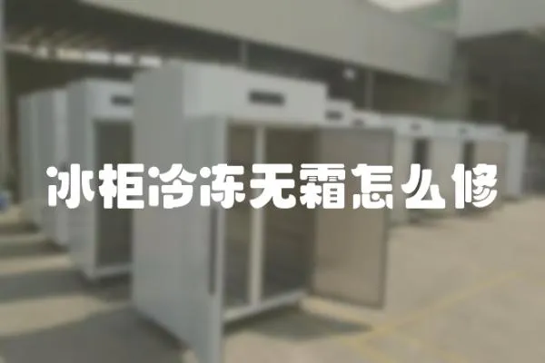 冰柜冷凍無霜怎么修