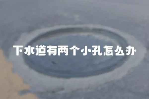 下水道有兩個小孔怎么辦